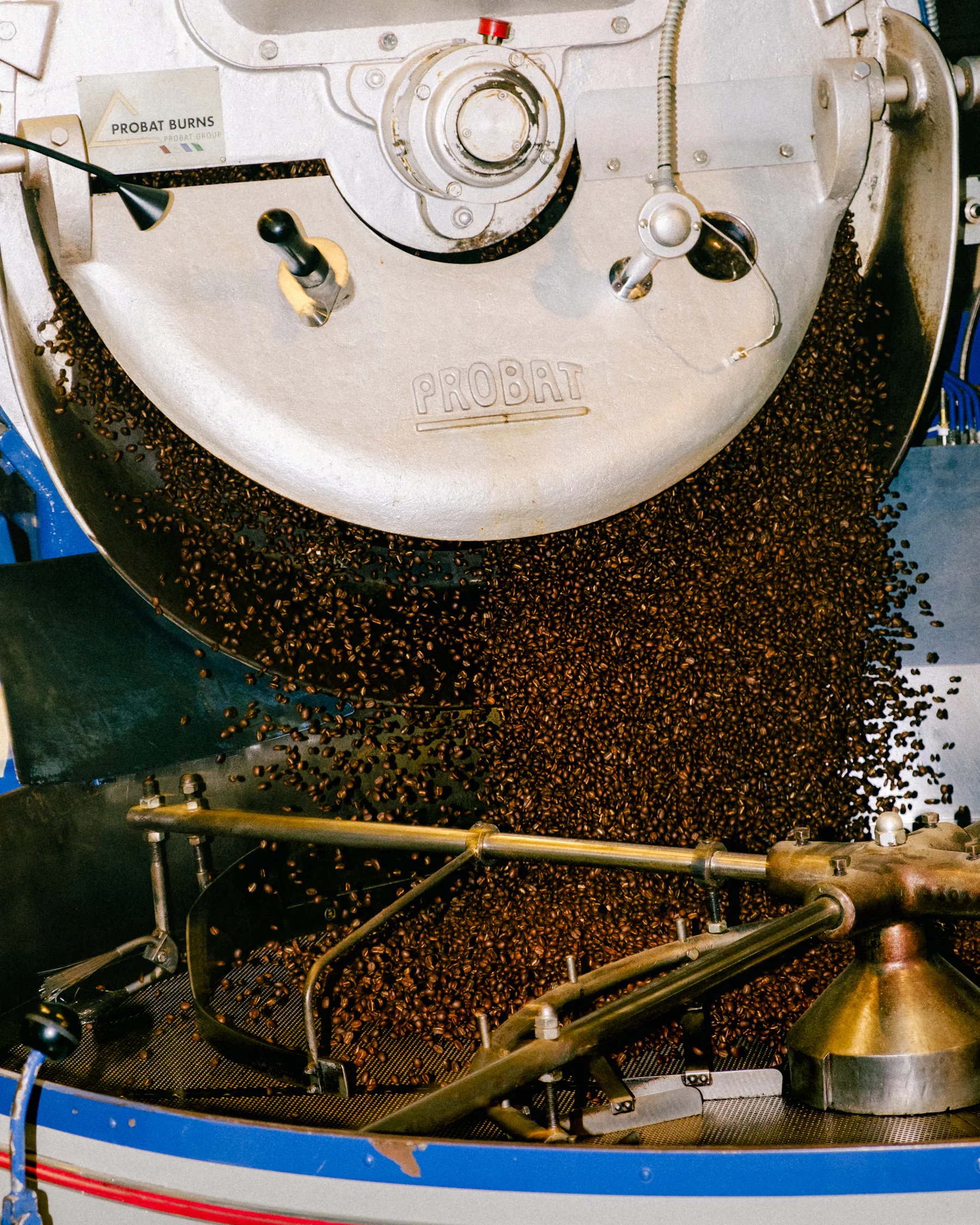 Clara Lacasse_roasting_march2026