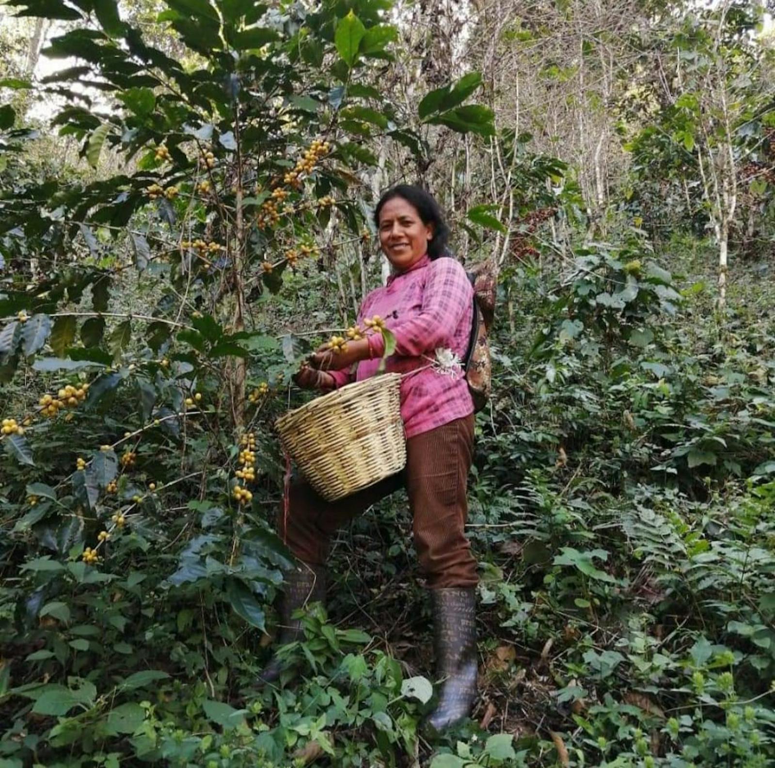 Elvira Pérez Ortiz, one of the 20 contributing producers on her farm