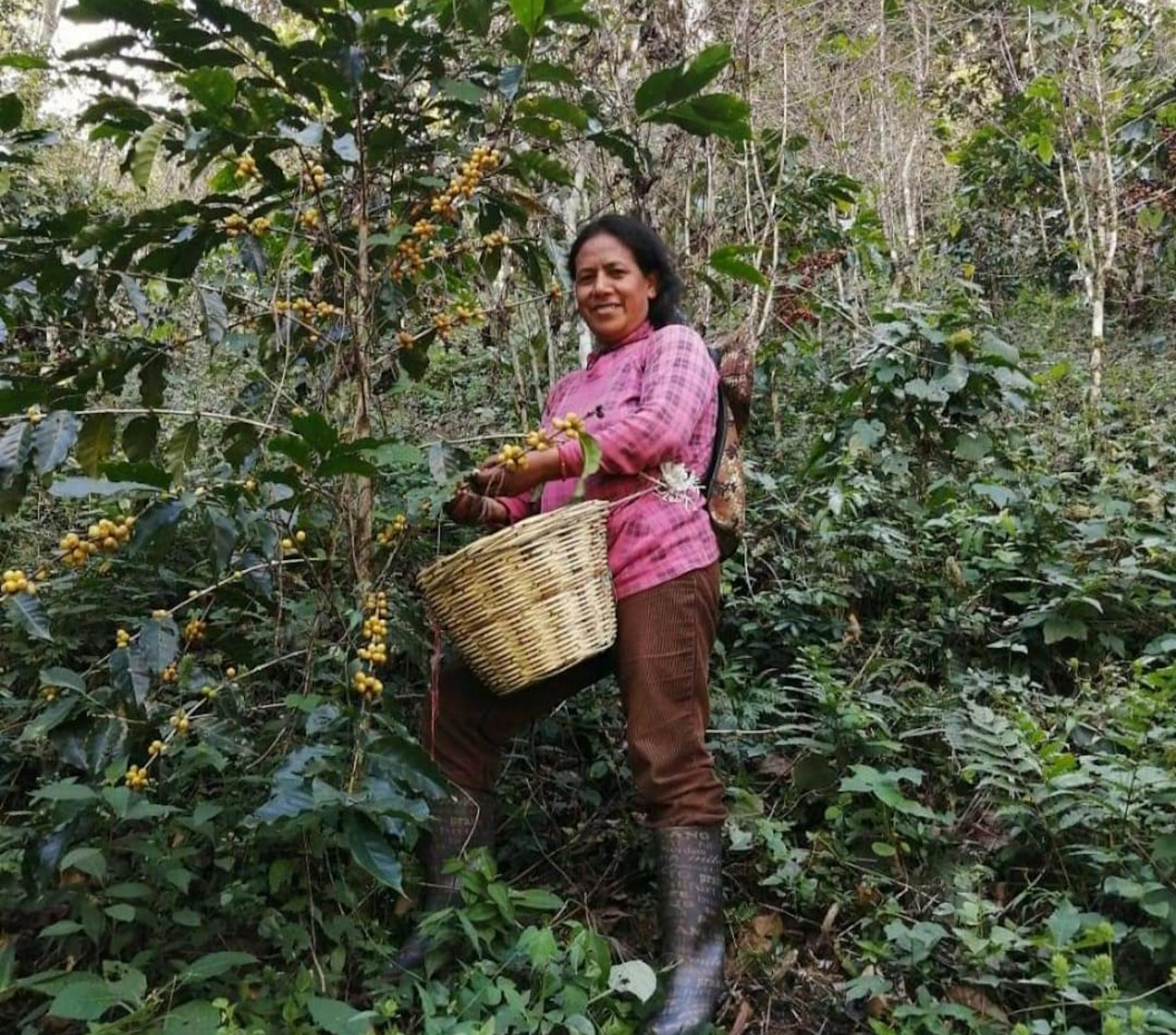 Elvira Pérez Ortiz, one of the 20 contributing producers on her farm