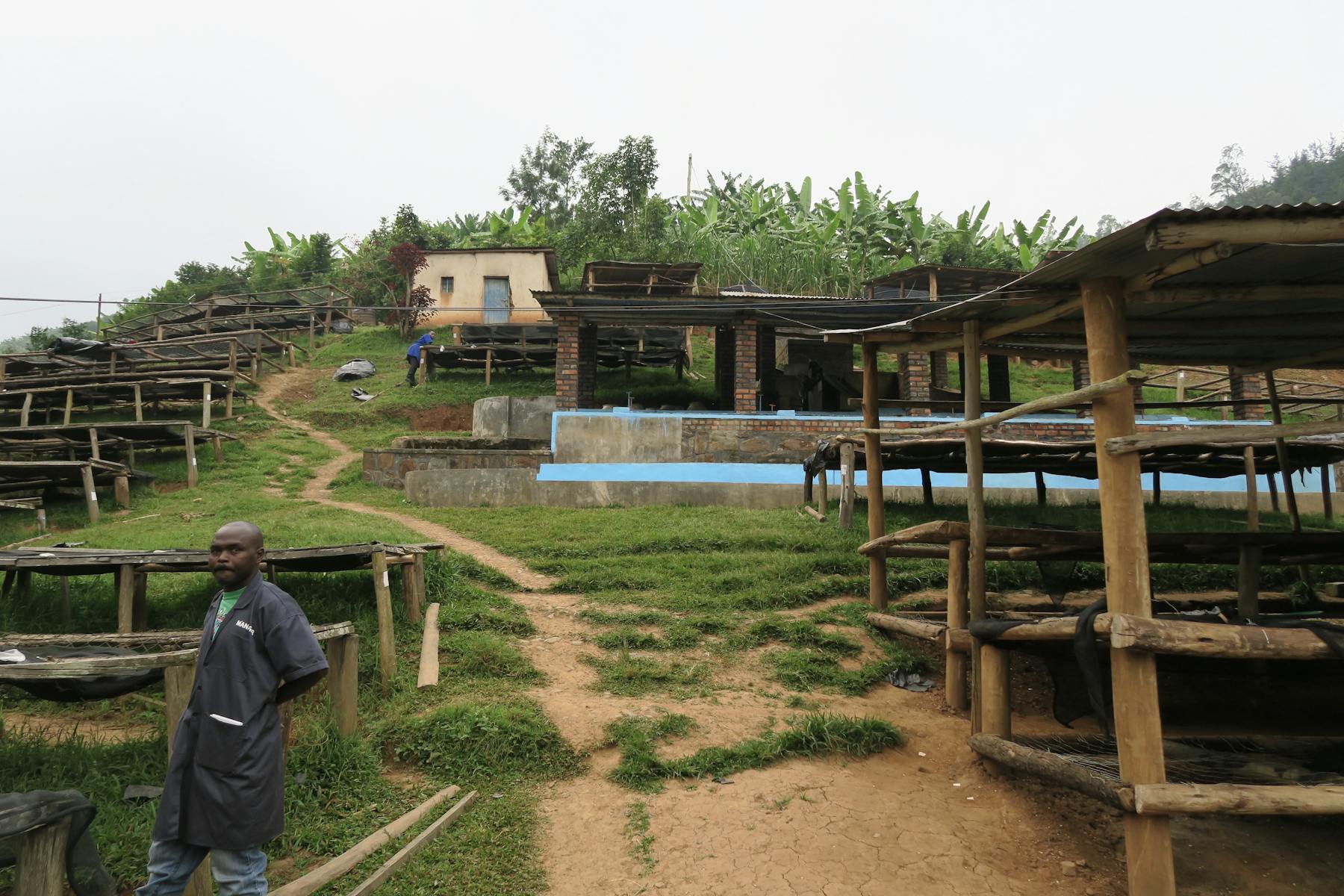 giko-hill-3