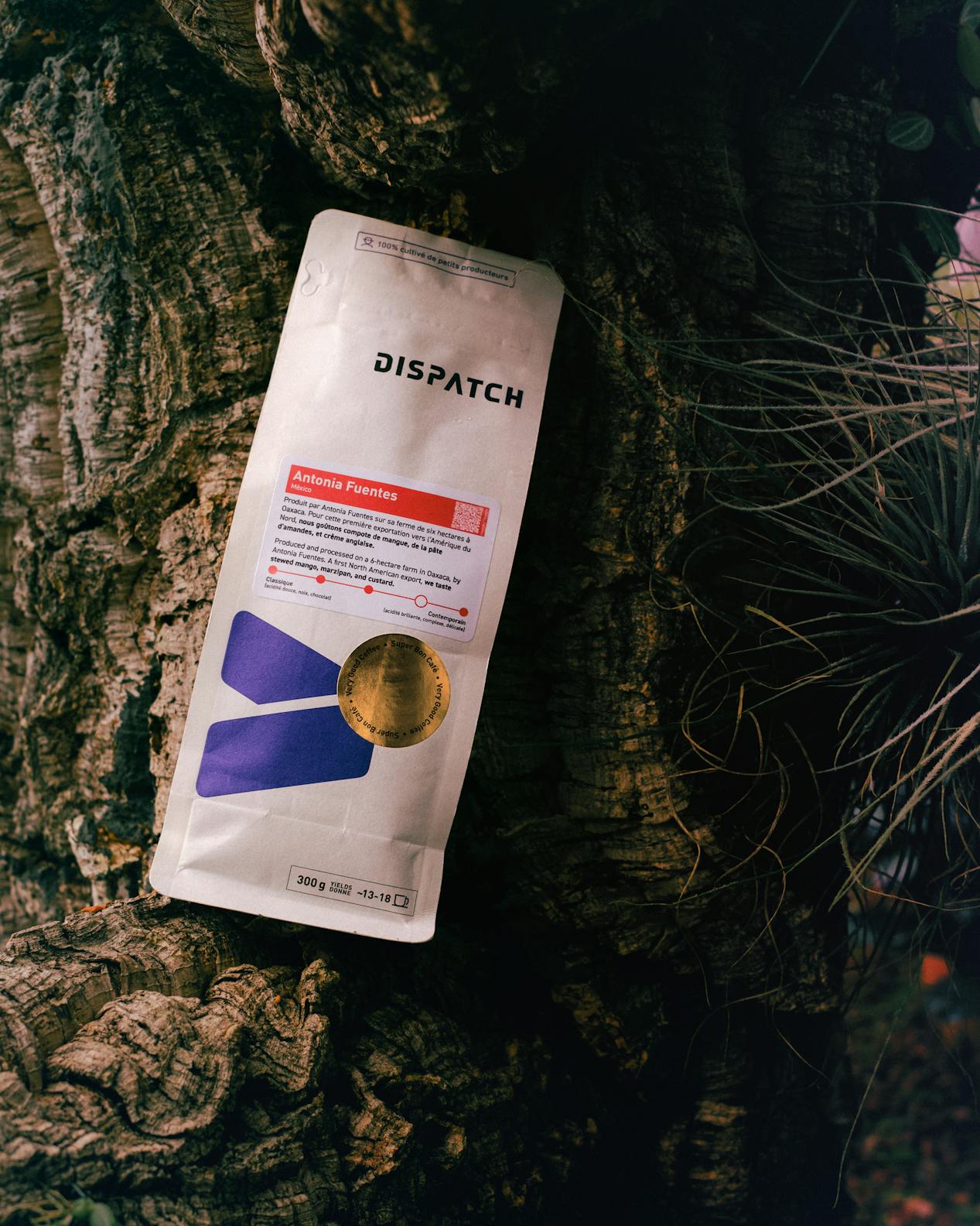 Antonia-lifestyle-02