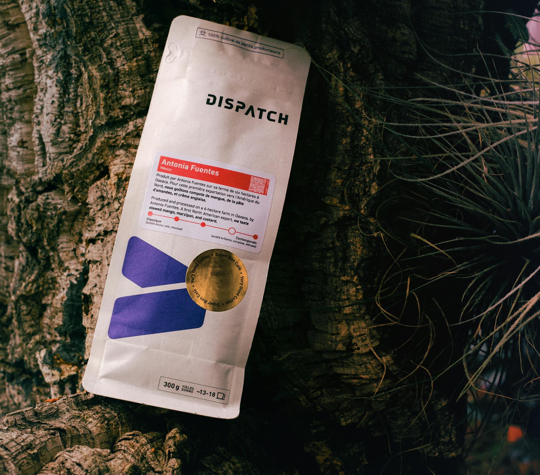 Antonia-lifestyle-02