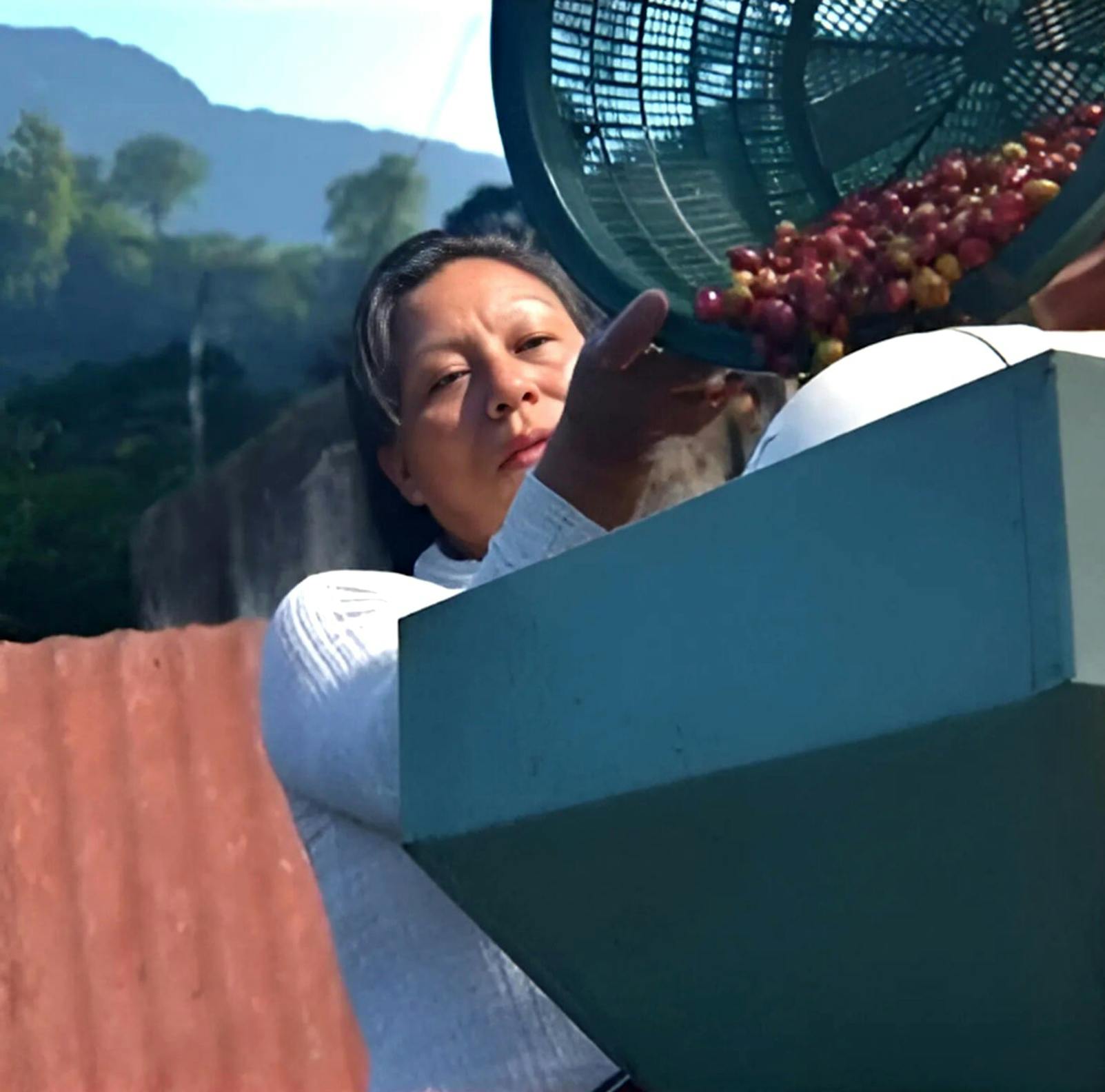 Dominga Díaz Sánchez, one of the contributing producers