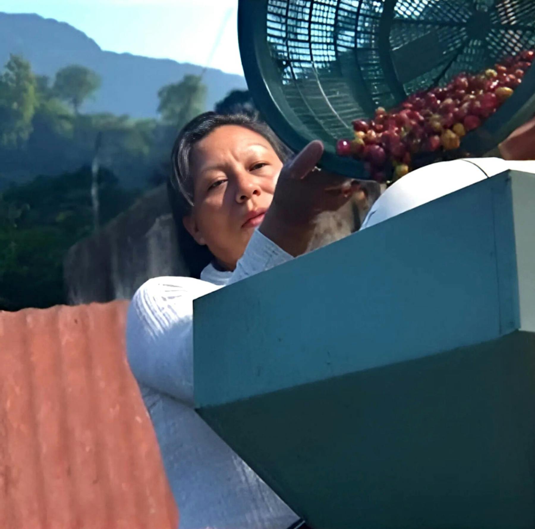 Dominga Díaz Sánchez, one of the contributing producers