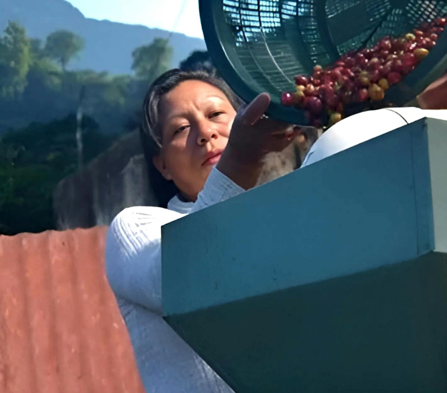 Dominga Díaz Sánchez, one of the contributing producers